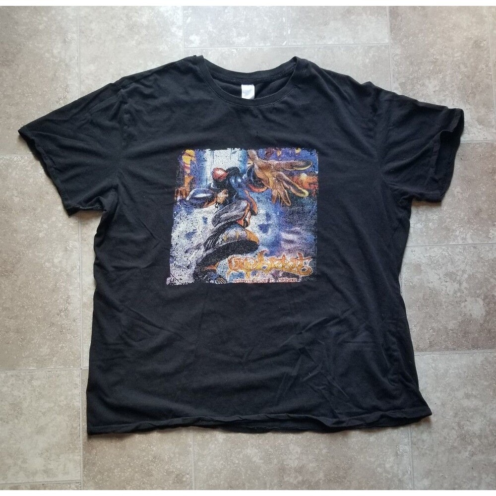 Distressed Limp Bizkit Significant Other Shirt XXL